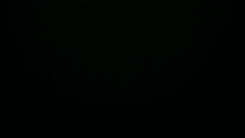 Image: 8616757