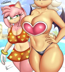 accessory amy_rose annoyed anthro bat bat_wings big_breasts black_clothing black_nose black_swimwear bracelet breast_envy breasts cleavage clothed clothing duo eulipotyphlan eyelashes female front_view fur gloves green_eyes hair hair_accessory hairband hand_on_hip handwear head_tuft hedgehog hi_res huge_breasts jealous jewelry mammal membrane_(anatomy) membranous_wings navel nsfwtalex pattern_clothing pattern_swimwear pink_body pink_fur pink_hair purple_wings red_clothing red_swimwear rouge_the_bat sega short_hair sonic_(series) sonic_the_hedgehog_(series) swimwear tan_body tan_fur telaxart texalunax thick_thighs tuft white_body white_clothing white_fur white_gloves white_handwear wide_hips wings