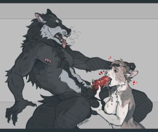 abs animal_genitalia animal_penis anthro anthro_on_anthro athletic balbes_(yabalbes) balls balls_grab big_tail bodily_fluids breasts canid canine canine_genitalia canine_penis canis claws cum cum_drip cum_in_mouth cum_inside cum_on_breasts domestic_cat doomcheg_(doomchik) doomchik dripping duo ejaculation fangs felid feline felis fellatio female fluffy genital_fluids genitals hair hair_grab head_grab heart_eyes heart_symbol hi_res knot lying male male/female mammal nipple_piercing nipples on_back oral pecs penile penis piercing ribs sex sheath spread_legs spreading tail teeth tongue tongue_out touching_hair vein veiny_penis wolf