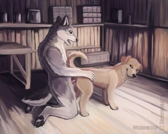 absurd_res animal_genitalia animal_penis animal_pussy anthro anthro_on_feral anthro_penetrating anthro_penetrating_feral black_nose black_pawpads box brown_eyes canid canine canine_genitalia canine_penis canine_pussy canis container detailed_background digital_media_(artwork) digital_painting_(artwork) domestic_dog duo erection fangs female female_penetrated feral feral_penetrated floor from_behind_position fur furniture genitals half-closed_eyes hi_res inside kneeling knot looking_at_another looking_at_partner looking_back looking_back_at_another looking_back_at_partner male male/female male_penetrating male_penetrating_female mammal monotone_body monotone_fur narrowed_eyes open_mouth pawpads paws penetration penile penile_penetration penis penis_in_pussy pussy sex smile speedpaint speedpainting surprised_expression table tail teeth vaginal_penetration werewolfdegenerate wolf wood wood_floor yellow_body yellow_fur zoophilia