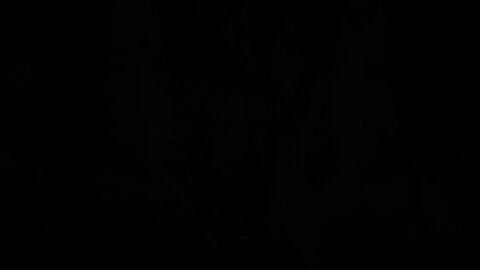 anal blonde_hair blowjob boobjob cum_from_ass ejaculation_while_penetrated femdom futa_is_bigger futa_on_male handsfree_ejaculation oral tagme titjob video void-eyes