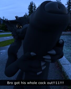 absurd_res anthro balls big_balls big_penis capcom dialogue duo first_person_view flying_wyvern genitals hi_res huge_cock hyper hyper_genitalia hyper_penis looking_at_viewer male male/male monster_hunter nargacuga night penile penis photo_background photography_(artwork) public realistic solo text vikvillince villince vore