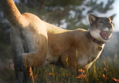 1girls 2d absurd_res anatomically_correct anatomically_correct_genitalia anatomically_correct_pussy animal_genitalia animal_pussy anonymous_artist anus ass breath collar cougar digital_media_(artwork) far_cry far_cry_5 felid feline feline_genitalia feline_pussy female female_only feral fur genitals grass heterochromia hi_res inner_ear_fluff licking licking_lips looking_at_viewer mammal nature nature_background nude open_mouth outside pantherine peaches_(far_cry_5) pink_pussy pink_tongue plant presenting presenting_anus presenting_hindquarters presenting_pussy pussy raised_tail realistic realistic_feral red_collar sky solo solo_female tail teeth tongue tuft ubisoft