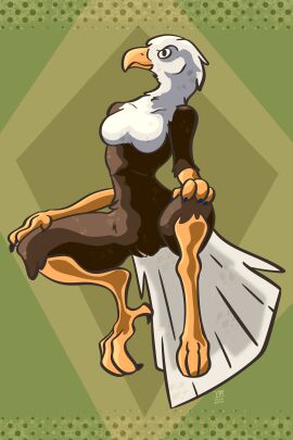 absurd_res accipitrid accipitriform anthro avian bald_eagle beak bird breasts digital_drawing_(artwork) digital_media_(artwork) digitigrade eagle feathers featureless_breasts feet female floating genitals hands_on_knees hands_on_legs hi_res looking_at_viewer non-mammal_breasts nude nude_anthro nude_female pussy sea_eagle simple_background small_breasts solo tail tail_feathers talons toes vike_mike vulva wingless_avian