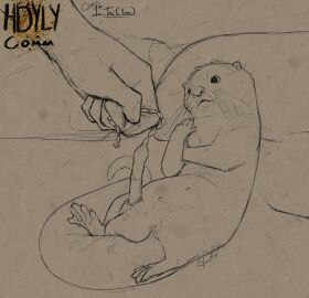 absurd_res animal_genitalia animal_penis artist_logo artist_name asian_small-clawed_otter balls bed bladder_bulge digitigrade disembodied_hand english_text feral floating_hands furniture genitals hdyly hi_res holding_tail line_art logo lying lying_on_bed male mammal masturbation mustelid on_back on_bed otter penetration penis pillow sex_toy sex_toy_insertion signature size_difference solo solo_focus sounding_rod stomach_bulge tail tail_grab text thick_tail urethral urethral_bulge urethral_masturbation urethral_penetration