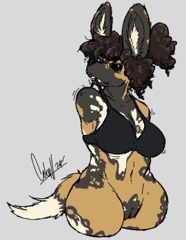 1_eye african_wild_dog amputee anthro armless armless_amputee bottomless bra brown_eyes canid canine cfoxblu clothed clothing clothing_pull curled_hair disability female female_genitalia furry genitals hair jam_(cfoxblu) legless legless_amputee limbless limbless_amputee mammal ocular_prosthetic prosthetic pussy quadruple_amputee simple_background solo underwear
