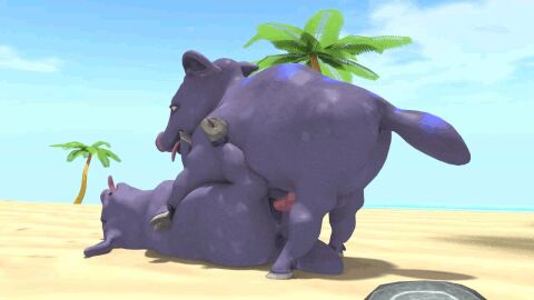 3d animal_genitalia animal_penis animal_pussy animal_vulva animated anus beach duo female female_penetrated feral feral_on_feral from_front_position genitals kelpaz lying male male/female male_penetrating missionary_position on_back palm_tree penetration penis plant pussy sex tongue tongue_out tree vaginal vaginal_insertion vaginal_penetration vaginal_sex zogipi