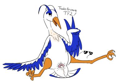 after_sex ambiguous_gender animal_genitalia anonymous_artist avian bird blue_body blue_feathers bodily_fluids cloaca cum cum_in_cloaca cum_inside eyewear feathers feral gaping gaping_cloaca genital_fluids genitals gesture great_blue_(character) great_blue_heron great_heron hand_gesture heron male male_(lore) pelecaniform solo sunglasses v_sign white_body white_feathers youtuber