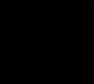 Image: 13082711