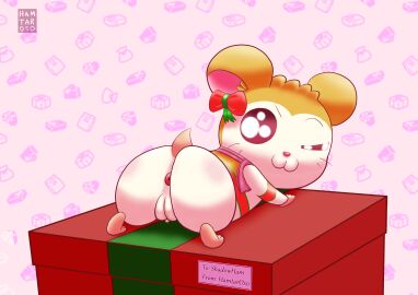 abstract_background absurd_res accessory anus ass ass_focus bow_ribbon brown_body brown_fur butt_focus cricetid female feral fur genitals gift hair_accessory hair_ribbon hairbow hamster hamtaro_(series) hamtaroso hi_res looking_at_viewer looking_back looking_back_at_viewer mammal one_eye_closed pashmina_(hamtaro) plump_labia presenting presenting_hindquarters presenting_pussy puffy_pussy pussy ribbons rodent solo white_body white_fur wink