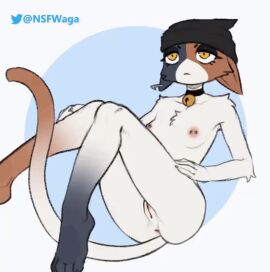 ! 1girls animated anthro beanie beanie_hat bell bell_choker bell_collar black_beanie black_eyelashes black_eyeliner calico_cat calico_cat_humanoid calico_fur calico_pattern cat cat_collar cat_ears cat_girl cat_humanoid cat_tail catgirl collar collar_bell collar_only collar_with_bell ear_piercing epic_games feline female female_anthro female_only fortnite fortnite:_battle_royale fur furry furry_female gif hat headwear leaning_back legs legs_apart legs_spread meow_skulls_(fortnite) meowskulls naked naked_female nipple_piercing nipples no_nose noseless noticing nude nude_anthro nude_female open_legs pierced_ear pierced_nipples piercing piercings pink_nipples pussy showing_pussy slim_waist smile sticking_out_tongue tail toe_claws tuft tuft_chest tufted_fur waga_(artist) white_fur yellow_eyes