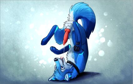 animal_genitalia animal_penis aseethe ass ass_up balls blue_body blue_fur bodily_fluids canid canine canine_genitalia canine_penis canis collar cum cum_in_mouth cum_in_own_mouth cum_in_self cum_inside cum_on_tongue domestic_dog erection fangs feral fluffy fluffy_tail fur genital_fluids genitals happy husky knot leto_(letodoesart) lying male male_only mammal nordic_sled_dog on_back orgasm pawpads paws penis raised_tail sheath signature simple_background smile solo spitz tail teeth tongue tongue_out white_body white_fur