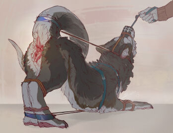 animal_genitalia animal_pussy animal_vulva anus blindcoyote bondage bound canid canine canine_genitalia canine_pussy dragon female feral genitals harness hybrid mammal muzzle_(object) muzzled mythological_creature mythological_scalie mythology pussy restraints rope rope_bondage scalie silas_zeranous simple_background solo vulva