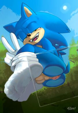 1boy against_surface anal_wink anthro anus anus_focus ass ass_on_glass ball_squish balls blue_body blush blush_lines clothing detailed_background eulipotyphlan feet fizzthetiger foot_focus footprint footwear forest fur furry furry_male furry_only genitals gesture glass gloves green_eyes hand_gesture handwear handwear_and_footwear_only hedgehog hi_res male male_only mammal on_glass pawpads pawprint paws plant presenting presenting_anus presenting_balls presenting_hindquarters public public_exposure public_nudity sega sitting sky sock_fetish socks solo solo_focus solo_male sonic_(series) sonic_the_hedgehog sonic_the_hedgehog_(film) sonic_the_hedgehog_(series) spread_anus spreading squish teeth tree v_sign