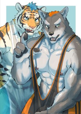 abs anthro biceps body_hair canid canine canis clothing duo felid fur genitals green_eyes grey_body grey_fur happy_trail hi_res kemono knoll-noru knoll_noru looking_at_viewer male male/male mammal multicolored_body multicolored_fur muscular muscular_anthro muscular_male nipples orange_body orange_fur pantherine pecs penis penis_base straps tiger tongue tongue_out translucent translucent_clothing two-tone_body two-tone_fur wolf wrestler wrestling_singlet