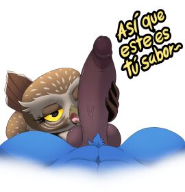 absurd_res anthro ass athene_(genus) avian balls beak beak_fetish betta_the_burrowing_owl_(blu_waifu) big_ass big_balls big_butt big_penis bird blu_(rio) blue_body blue_sky_studios burrowing_owl duo feathers fellatio fellatio_while_masturbating female first_person_view genitals handjob hi_res hidden_face huge_cock looking_at_another macaw male male/female neotropical_parrot oral owl parrot penile penis rio_(series) sex spanish_text spix's_macaw tail tail_feathers text thelordjoshua1 tongue true_owl true_parrot vein veiny_penis yellow_eyes