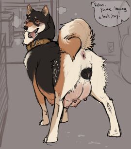 absurd_res after_sex after_vaginal anatomically_correct_genitalia anatomically_correct_pussy animal_genitalia animal_pussy anus bodily_fluids breasts breath canid canine canine_genitalia canine_pussy canis collar cricketkisses cum cum_inside domestic_dog english_text engorged_breasts female feral freshly_uprooted genital_fluids genitals hi_res leaking_cum leaking_milk looking_back looking_pleasured mammal multi_nipple nipples panting pregnant pregnant_feral profanity pussy shiba_inu solo speech_bubble spitz swollen_breasts text tongue tongue_out