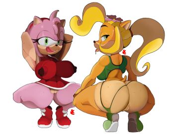 2girls activision amy_rose anthro armpits arms_behind_head arms_up ass bandicoot behind_view big_ass big_breasts big_butt blonde_hair breasts bubble_ass bubble_butt clothing coco_bandicoot crabtopus crash_(series) crossover curvaceous curvy curvy_figure eastern_and_western_character erect_nipples erect_nipples_under_clothes female female_only flower flower_in_hair front_view furry green_eyes hedgehog huge_ass huge_breasts licking_lips looking_at_viewer looking_back mostly_nude nipples no_panties panties panties_aside ponytail pussy saliva saliva_string sega sonic_(series) sonic_the_hedgehog_(series) sports_bra squatting sweat sweating sweaty tagme tail thick_thighs tongue tongue_out voluptuous voluptuous_female white_background wide_hips