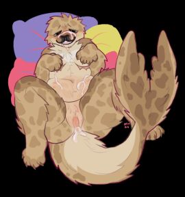 anthro belly belly_nipples black_eyes bodily_fluids brown_body brown_fur claws clitoris cum cum_drip cum_in_pussy cum_inside cum_on_belly cum_on_body cum_on_face cuntboy dripping fur genital_fluids genitals hi_res intersex lying mammal marine mastectomy_scar on_back pillow pinniped pussy scar seal solo wobbybones