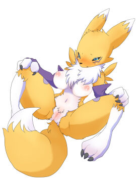 Image: 802576