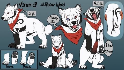 animal_genitalia animal_penis back_markings balls balls_tuft black_markings black_nose black_pawpads blue_background canid canine canine_genitalia canine_penis canis erection fangs feral fully_sheathed fur gear genitals glistening glistening_eyes heterochromia hybrid kerchief male mammal markings model_sheet neckerchief open_mouth pawpads penis pink_tongue purple_eyes red_eyes red_kerchief red_neckerchief red_penis sheath simple_background solo teeth tongue tuft unbreakable-warrior voren white_balls white_body white_fur wolf