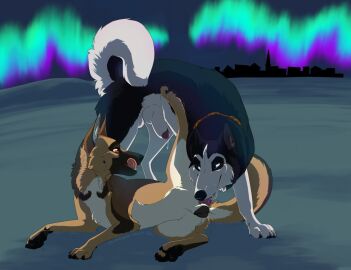 alaskan_malamute animal_genitalia animal_penis animal_pussy aurora_(phenomenon) balto_(series) black_body black_fur black_nose blue_eyes bodily_fluids brown_body brown_fur canid canine canine_genitalia canine_penis canine_pussy canis cunnilingus domestic_dog dripping duo female feral feral_on_feral freyja_(northshepherd) fur genital_fluids genitals german_shepherd glistening glistening_eyes knot_in_sheath licking licking_lips licking_own_lips male male/female mammal open_mouth oral outside penis penis_tip pink_tongue precum precum_drip pussy quadruped red_eyes red_penis sex sheath steele_(balto) tongue unbreakable-warrior universal_studios vaginal_penetration white_body white_fur