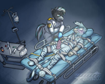 alistar_(oc) anthro avian balls black_body black_fur blue_body blue_eyes blue_fur blush bondage bound bound_male catheter clothing enema equid equine erection fur genitals gloves gryphon gurney handwear hasbro hi_res horse hybrid knot krd latex male male/male mammal marble_rift_(oc) medfet medical medical_instrument medical_play my_little_pony mythological_avian mythological_creature mythology pawpads penis pony scientific_instrument segufix story story_in_description straps striped_body striped_fur stripes syringe talon_hands white_body white_fur white_latex zebra zony