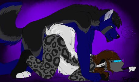 abstract_background all_fours ambiguous_anthro ambiguous_gender ambiguous_penetrated ambiguous_penetration anthro anthro_on_anthro arm_markings ass ass_up bent_arm bent_legs black_body black_ears black_fur black_hair black_nose blue_body blue_eyes blue_fur blue_markings blue_piercing bridge_piercing brown_hair canid claws countershade_torso countershading dialogue digital_media_(artwork) doggy_style duo ears_down facial_hair facial_markings facial_piercing feet female female_on_bottom fingerless_(marking) flynx flynx-flink from_behind_position fur goatee green_eyes grey_body grey_fur grey_inner_ear grey_markings hair half-closed_eyes hand_on_wrist head_markings leg_markings legionwolfe leopard_spots lying male male/ambiguous male_anthro male_on_top male_penetrating male_penetrating_ambiguous mammal markings mottled_tongue multicolored_tongue narrowed_eyes nose_piercing nude nude_ambiguous nude_anthro nude_male on_bedding on_bottom on_front on_top open_mouth outline_speech_bubble paws penetration piercing pivoted_ears purple_background purple_claws purple_nose purple_tongue raised_tail sex simple_background socks_(marking) speech_bubble spots tail tear_(marking) toe_claws toeless_(marking) tongue two-tone_tongue white_body white_countershading white_fingers white_fur white_inner_ear white_tail white_toes