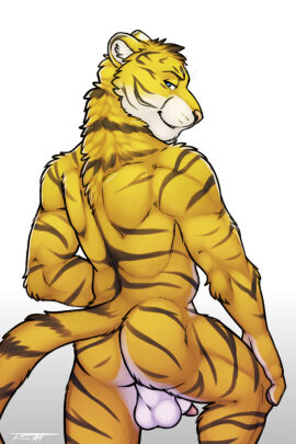 Image: 978046