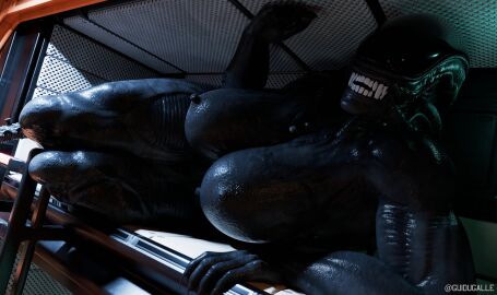 3d alien_(franchise) big_breasts breasts close-up female female_xenomorph guidugalle guimontag looking_at_viewer muscular muscular_female solo xenomorph