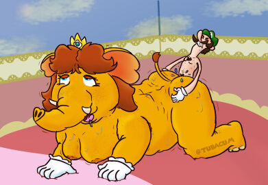 1boy 1girls anthro anthro_on_anthro artist_name ass ass_grab bed bedroom big_sub_small_dom blue_eyes breasts brown_hair crown doggy_style duo elephant elephant_daisy elephantid female furry furry_female gloves green_hat hands_on_ass hat indoors interspecies larger_female light-skinned_male light_skin luigi male male/female mammal mario_(series) nintendo nipples nude nude_anthro nude_female nude_male open_mouth orange_body princess princess_daisy royalty sex size_difference small_dom_big_sub smaller_male straight straight_sex super_mario_bros._wonder tail trunk tubacum tusks white_gloves