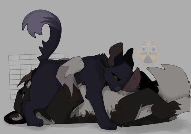 2024 69_position animal_genitalia animal_penis barley_(warriors) black_and_white_body black_and_white_fur black_body black_fur blue_eyes cat domestic_cat felid feline feline_genitalia feline_penis felis feral feral_on_feral feral_only gay knifeboiz looking_at_partner looking_back male male/male male_only meme_in_the_background multicolored_body multicolored_fur oral oral_sex penis ravenpaw_(warriors) two-tone_body two-tone_fur warriors_(book_series) warriors_(cats)