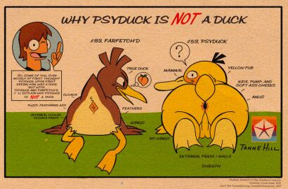 2025 absurd_res anatid animal_genitalia anseriform anus artist_logo artist_name ass avian avian_butt balls beak bird blush cloaca dialogue digital_drawing_(artwork) digital_media_(artwork) duck duo english_text farfetch'd feathers feet feral fur game_freak generation_1_pokemon genitals group hi_res hoosierman9911a human jon_(hoosierman9911a) logo male male/male mammal membrane_(anatomy) nintendo panel_overlap pokemon pokemon_(species) presenting presenting_anus presenting_cloaca presenting_hindquarters psyduck signature simple_background speech_bubble tail talons text thought_bubble toes trio webbed_feet wings yellow_body