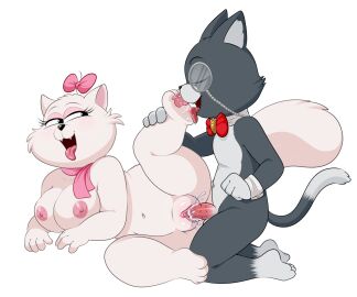 2025 6:5 accessory animal_genitalia animal_penis anthro areola blackjack_(pinkbutterfree) bodily_fluids bow_ribbon bow_tie breasts cum cum_in_vagina cum_inside domestic_cat duo eyewear feet felid feline feline_genitalia feline_penis felis female foot_fetish foot_lick foot_play fur genital_fluids genitals grey_body grey_fur hair_accessory hair_ribbon hairbow heathcliff_and_the_catillac_cats hi_res licking lonbluewolf male male/female mammal monocle multicolored_body multicolored_fur nipples open_mouth penetration penis ribbons scarf simple_background sonja_(heathcliff) tongue tongue_out two_tone_body two_tone_fur vaginal_penetration vulva white_background