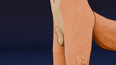 16:9 3d_(artwork) 3d_animation 3d_model_showcase animal_genitalia animated anthro balls becoming_erect becoming_flaccid blender_(artwork) blender_cycles blue_penis_tip canid canine darkfox12 digital_media_(artwork) erection experimental fox fur genitals humanoid_genitalia humanoid_penis male mammal orange_body orange_fur outline penis presenting presenting_penis sheath solo widescreen