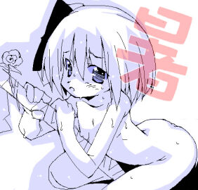 Image: 526379