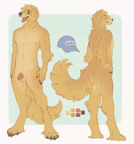 2d animal_genitalia anthro balls bird_dog canid canine canis claws digital_media digitigrade domestic_dog floppy_ears fluffy fluffy_tail front_view full_body fur furry genitals golden_retriever half-erect hi_res hunting_dog male mammal model_sheet nude open_mouth penis reference_sheet retriever seraphictiger sheath solo standing tail testicles toe_claws yellow_body yellow_fur
