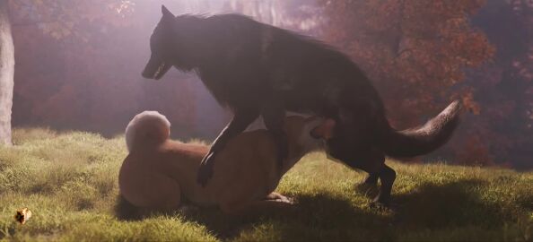 3d_(artwork) 3d_animation 69_position animal_genitalia animal_penis animated balls body_part_in_mouth canid canine canine_genitalia canine_penis canis deep_throat digital_media_(artwork) domestic_dog duo erection face_fucking face_mounting fellatio feral feral_noises feral_on_feral feral_penetrated feral_penetrating feral_penetrating_feral genitals irrumatio knot knotted_penis male male/male male_penetrated male_penetrating male_penetrating_male mammal oral oral_only oral_penetration penetration penile penile_penetration penis penis_in_mouth servicing_from_below sex sheath shiba_inu short_playtime sound spitz tagme trioami260 video wolf