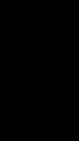 buffpup_(vtuber) cowgirl_position tagme video virtual_youtuber vtuber