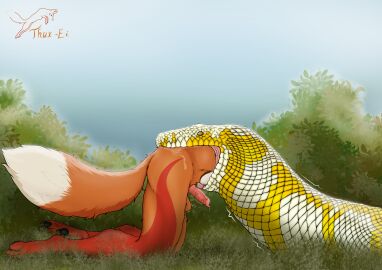absurd_res ambiguous_gender animal_genitalia animal_penis anthro anthro_prey aroused aroused_prey bad_smell blue_sky bodily_fluids bulge canid canine canine_genitalia canine_penis duo eating erection esophagus feral feral_pred fox genital_fluids genitals head_first hi_res male mammal nature nature_background penis precum precum_on_penis python red_fox reptile scalie sky smelly snake swallowing thux thux-ei true_fox vore willing_prey