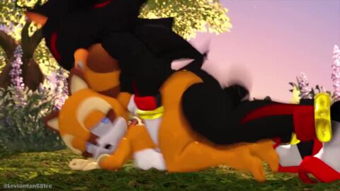 1boy 1girls anal anal_insertion anal_penetration anal_sex anthro anthro_female anthro_male_on_anthro_female anthro_male_on_human_female anthro_on_anthro anthro_only anthro_penetrated anthro_penetrating_anthro black_fur_markings blue_eyes eyes_closed eyes_half_closed eyes_half_open hedgehog hedgehog_boy hedgehog_humanoid leviantan581re marine_the_raccoon mobian mobian_(species) mobian_hedgehog mouth_open orange_fur outdoor_nudity outdoor_sex outdoors outside outside_sex raccoon raccoon_girl raccoon_humanoid red_fur sega shadow_the_hedgehog sonic_(series) sonic_the_hedgehog_(series) tagme video
