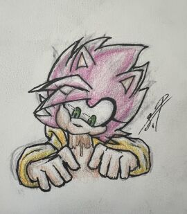 amy_rose blowjob color female sonic_(series) sonic_the_hedgehog_(series) tastefulanatomy traditional_art