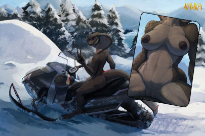 anthro belly_scales black_body black_scales breasts casual_nudity cobra detailed_background female genitals gesture grey_body grey_scales hand_gesture looking_at_viewer nawka nipples non-mammal_breasts non-mammal_nipples outside plant purple_eyes pussy reptile scales scalie sitting smile snake snake_hood snow snowmobile solo tayla tree v_sign winter