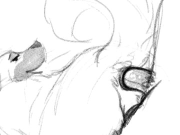 1boy 1girls a_dusty_wolf anal anal_sex animal_genitalia animal_pussy animated ass average_penis balls balls_deep canid canine canine_genitalia canine_pussy canis domestic_dog duo female female_on_human feral feral_penetrated frame_by_frame genitals human human_on_feral human_penetrating human_penetrating_feral humanoid interspecies kangal livestock_guardian_dog looking_back looking_pleasured loop lube_in_ass lube_on_penis male male/female male_on_feral mammal milly_(a_dusty_wolf) molosser mountain_dog pastoral_dog penetration penile penile_penetration penis penis_in_ass pussy rear_view sex simple_background sketchy white_background zoophilia