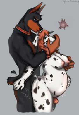 2024 5_fingers anthro anthro_on_anthro athletic athletic_anthro athletic_male belly big_belly big_breasts black_body black_fur black_nose black_spots breasts brown_body brown_fur canid canine canis collar collar_only dalmatian dobermann domestic_dog duo erection female fingers fur genitals hair hi_res humanoid_hands klaus_doberman_(character) male male/female mammal markings monika_(klausd) multicolored_body multicolored_fur nipples nude nude_anthro nude_female nude_male penis pinscher pregnant pregnant_anthro pregnant_female red_hair spicebunny spots spotted_body spotted_fur tail tail_motion tailwag two-tone_body two-tone_fur white_body white_fur