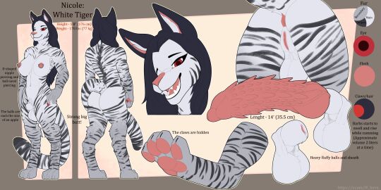 abs absurd_res animal_genitalia animal_penis anthro anus areola ass balls big_ass big_breasts big_butt big_penis breasts digital_media_(artwork) digitigrade english_text erection felid feline ferrn fur futanari genitals hair herm hi_res intersex knot mammal model_sheet muscular muscular_anthro navel navel_piercing nicole_(nekoos) nipple_piercing nipples nude open_mouth pantherine penile_spines penis piercing pussy simple_background smile solo standing striped_body striped_fur stripes tail text thick_thighs tiger tongue white_body white_fur wide_hips