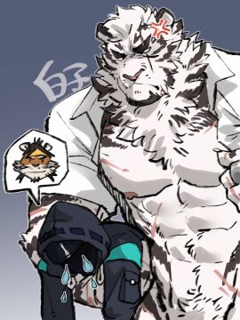 1boy 1other 41raco abs ambiguous_gender anger_vein animal_ears arknights artist_name bara carrying carrying_person claws commentary_request cross_scar doctor_(arknights) empty_eyes flying_teardrops furry furry_male grey_background highres huai_tianpei_(arknights) jewelry kirupi male male_focus male_only mountain_(arknights) multiple_scars nipples no_pants pectorals penis penis_out_of_frame ring scar scar_across_eye scar_on_arm scar_on_cheek scar_on_chest scar_on_face scar_on_stomach shirako_(kirupi) shirt tiger_boy tiger_ears tiger_stripes white_shirt yaoi