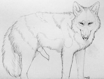 Image: 357122