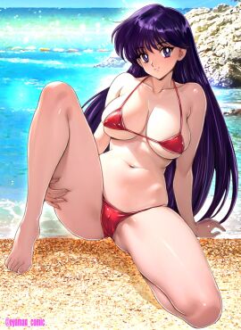 1girls 2d artist_name barefoot beach belly_button big_breasts bikini bishoujo_senshi_sailor_moon black_hair breasts cameltoe color feet female female_only full_color huge_breasts large_breasts long_hair looking_at_viewer micro_bikini ocean oyaman purple_eyes purple_hair pussy rei_hino sitting_on_ground smiling_at_viewer solo very_long_hair