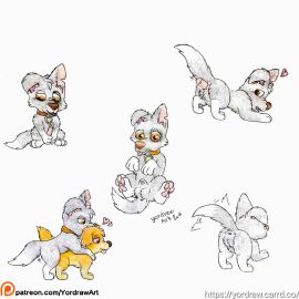 3_toes anal anal_sex animal_genitalia animal_penis anus ass ass_focus ass_up balls bent_legs butt_focus canid canine canine_genitalia canine_penis canis collar disney dog_tags doggy_style domestic_dog duo feet female feral foot_fetish foot_focus from_behind_position fur genitals grey_body grey_fur hi_res male mammal orange_eyes patreon patreon_artist patreon_logo patreon_username paw_patrol pawpads paws penetration penis pink_pawpads presenting presenting_hindquarters raised_tail rocky_(paw_patrol) sex skye_(paw_patrol) spread_legs spreading tail tail_motion tailwag text toes tongue tongue_out traditional_media_(artwork) url yordraw